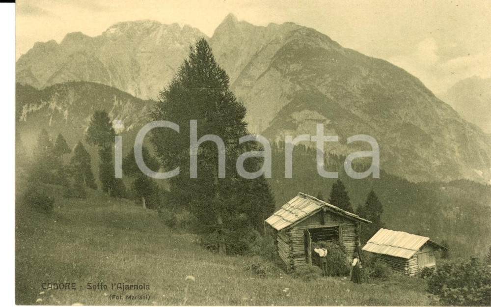 Cartolina originale da collezione 1913 Touring Club Italiano CADORE Sotto l'Arnajola ANIMATA *Cartolina FP NV 1