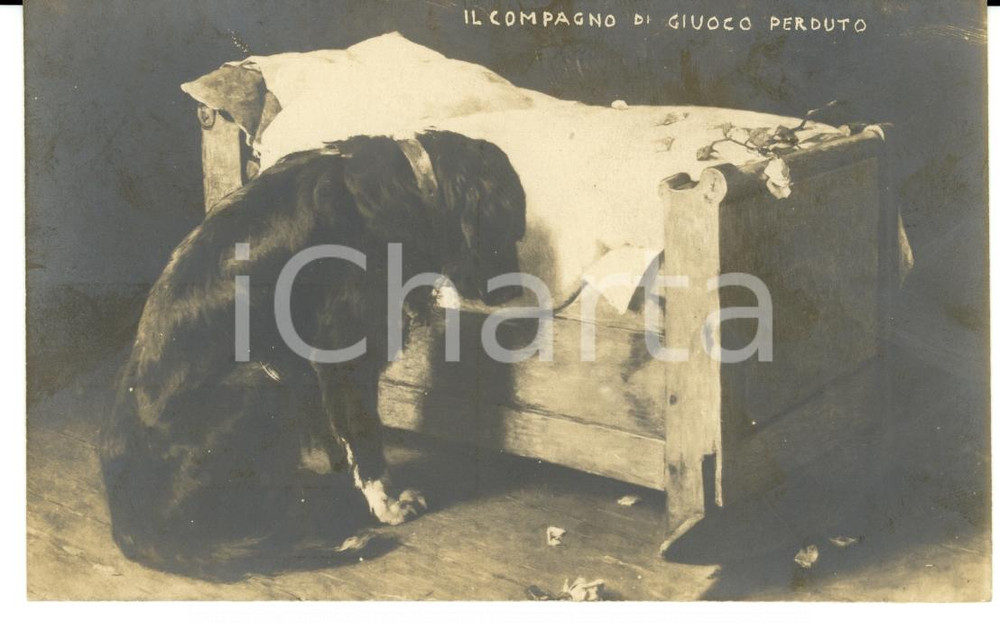 Cartolina originale da collezione 1910 ca MORTE BAMBINO Il compagno di giuoco perduto Cartolina FP NV 1