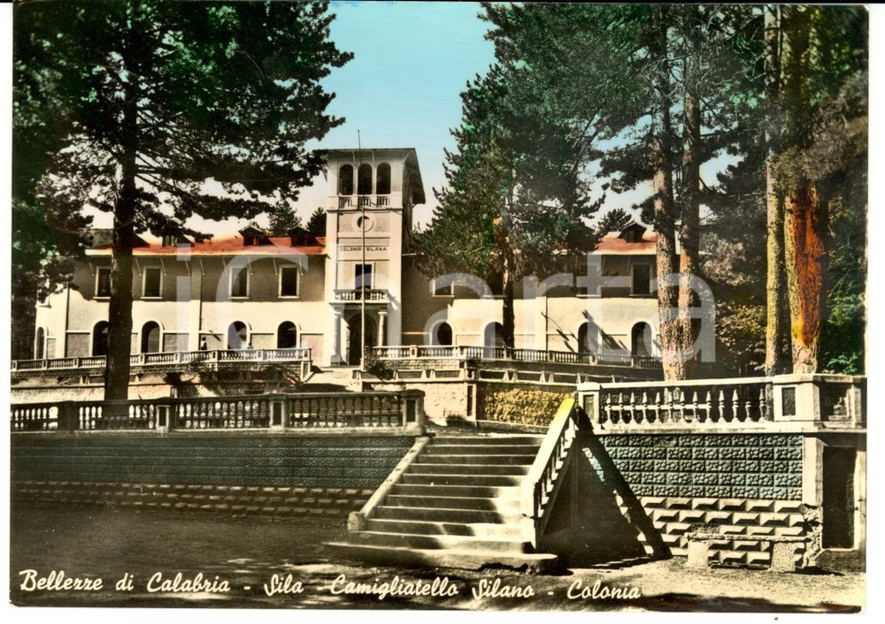 Cartolina originale da collezione 1955 CAMIGLIATELLO SILANO (CS) Colonia silana *Cartolina FG VG 1