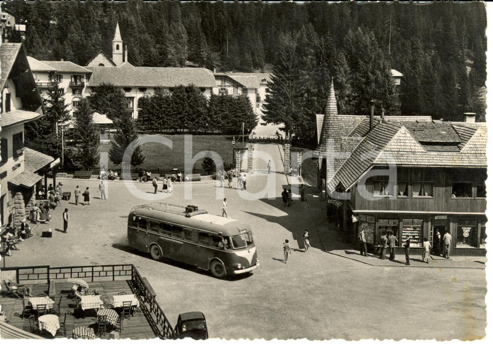 Cartolina originale da collezione 1952 MADONNA DI CAMPIGLIO (TN) Panorama e Grand Hotel *Cartolina postale FG VG 1