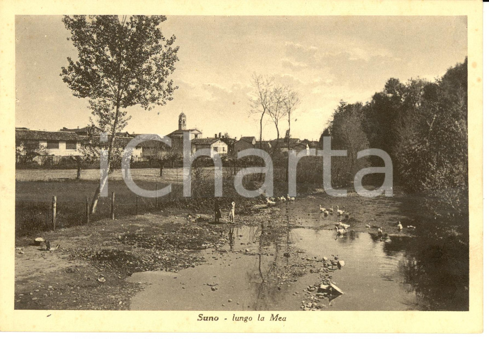 Cartolina originale da collezione 1939 SUNO (NO) Veduta panoramica lungo la Mea *Cartolina FG NV (2) 1