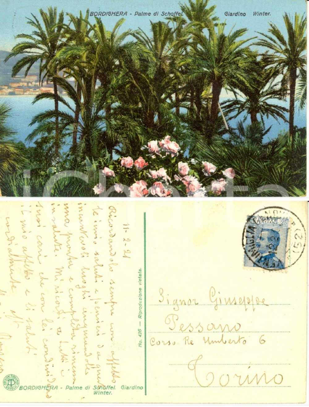 Autografo originale 1921 BORDIGHERA (IM)  Autografo Mario ROGGERO *Cartolina Palme di Schoffel 1