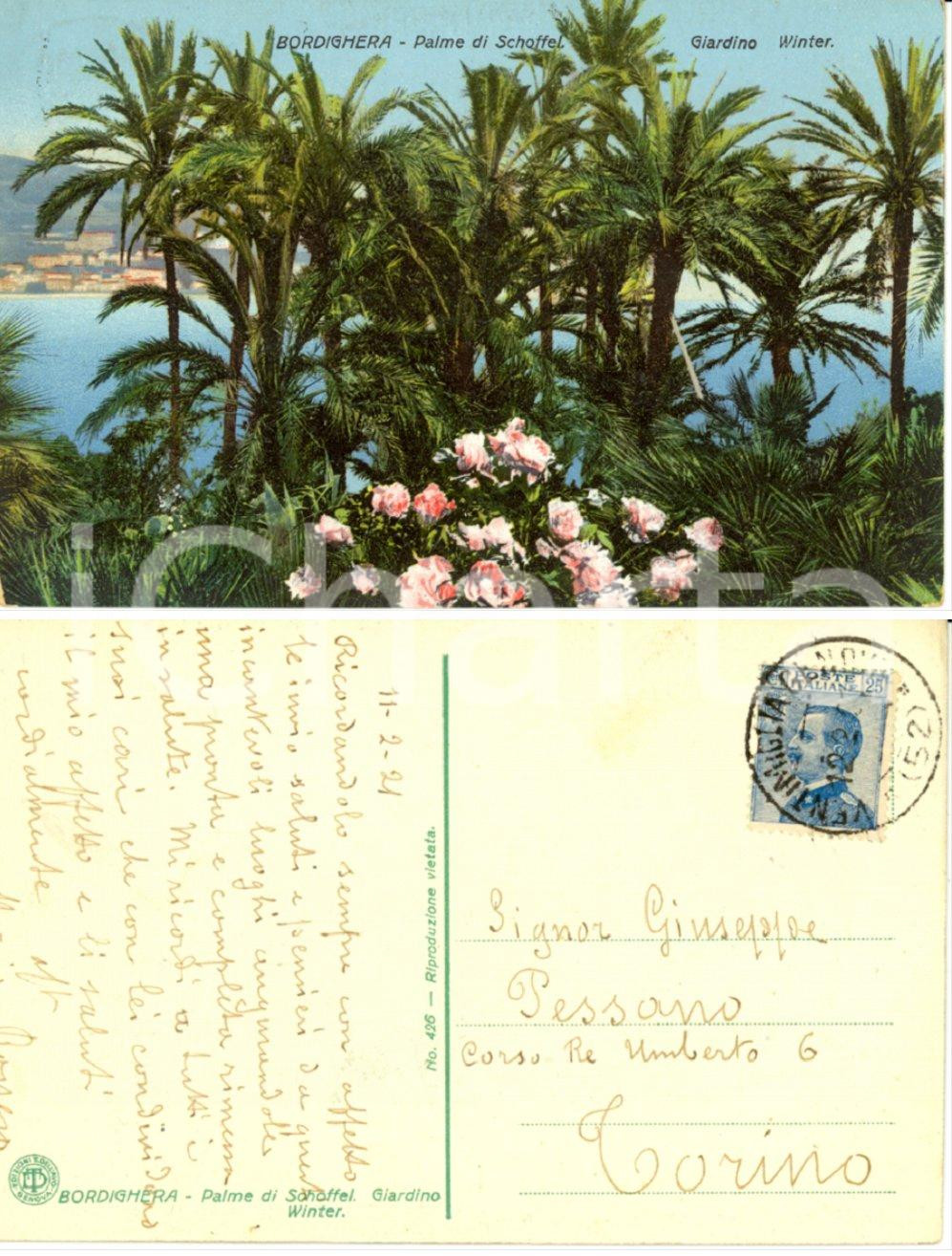 Autografo originale 1921 BORDIGHERA IM  Autografo Mario ROGGERO Cartolina Palme di Schoffel 1
