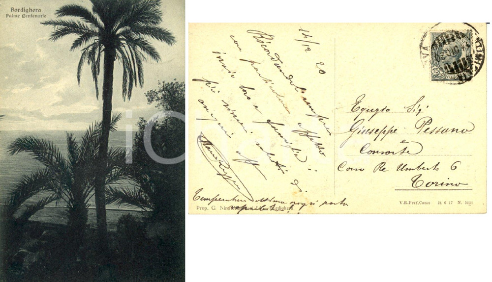 Autografo originale 1920 BORDIGHERA (IM) Autografo Mario ROGGERO a Giuseppe PESSANO *Cartolina palme 1