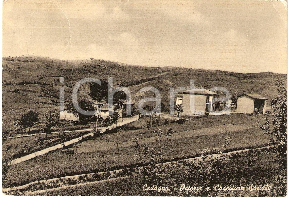 Cartolina originale da collezione 1964 CODOGNO LO Panorama OSTERIA E CASEIFICIO SOCIALE Cartolina FG VG 1