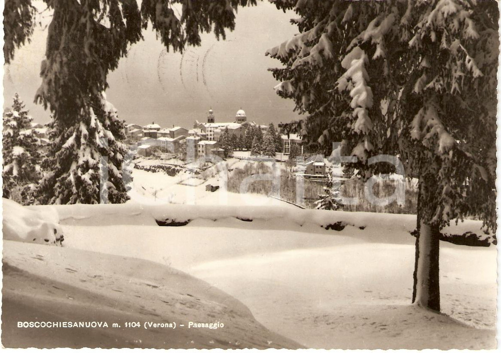 Cartolina originale da collezione 1962 BOSCOCHIESANUOVA (VR) SCORCIO PANORAMICO Cartolina FG VG 1