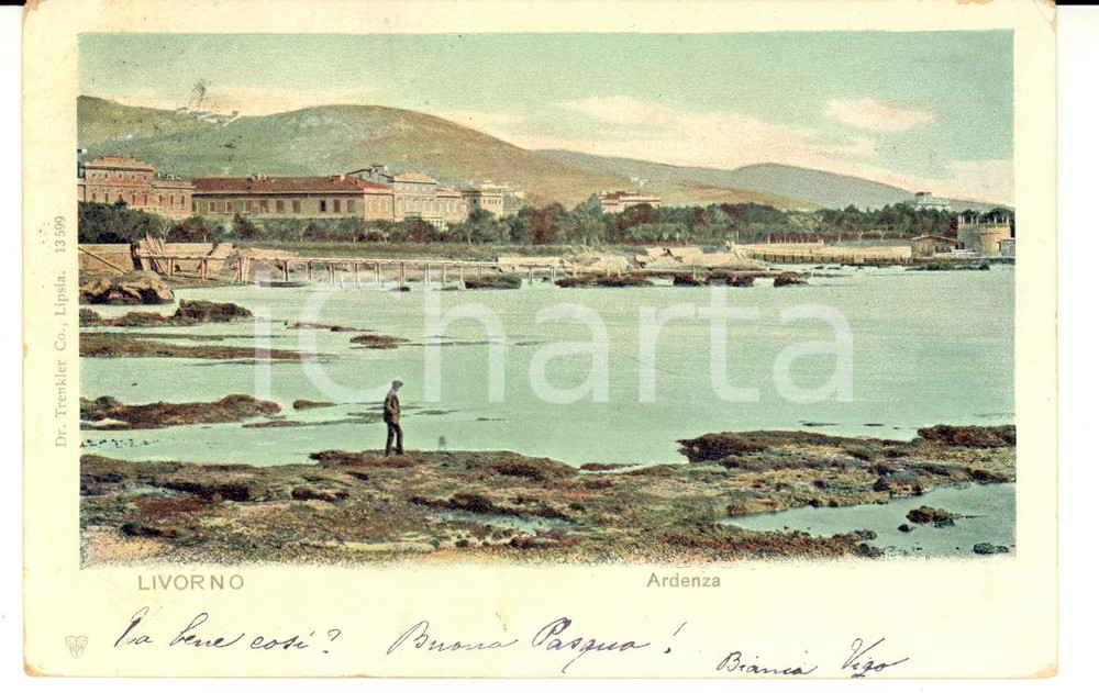 Autografo originale 1902 LIVORNO Veduta dell Ardenza Autografo Bianca VIGO FP VG 1