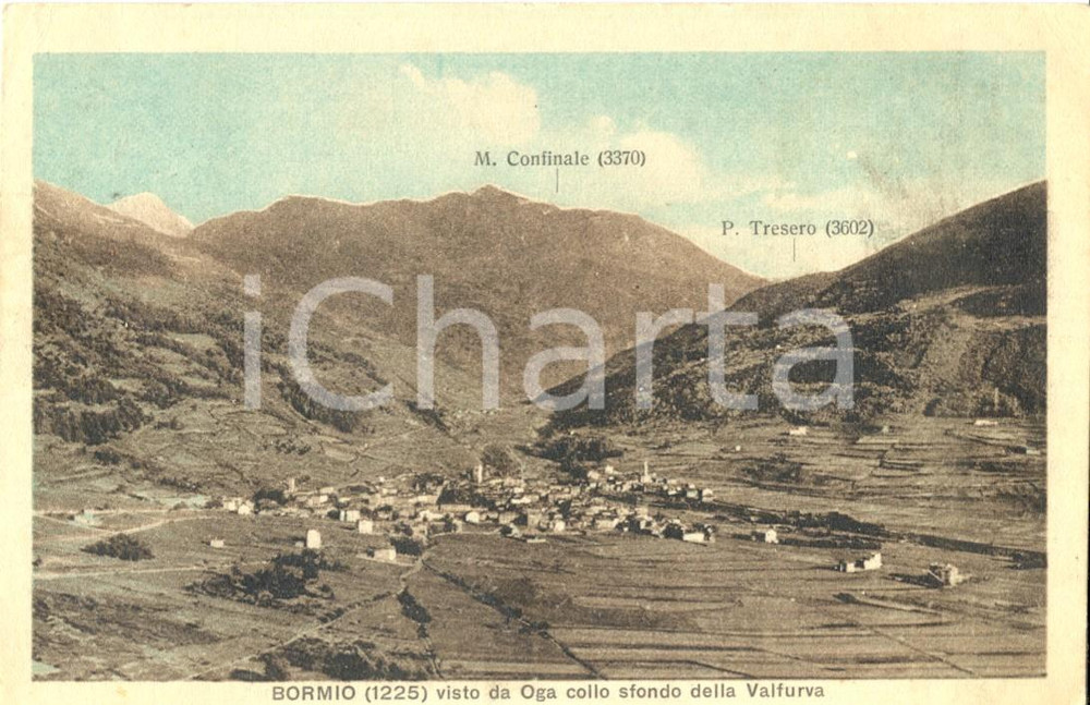 Cartolina originale da collezione 1928 BORMIO (SO) Veduta dei monti Confinale e Tresero da Oga *Cartolina FP VG 1