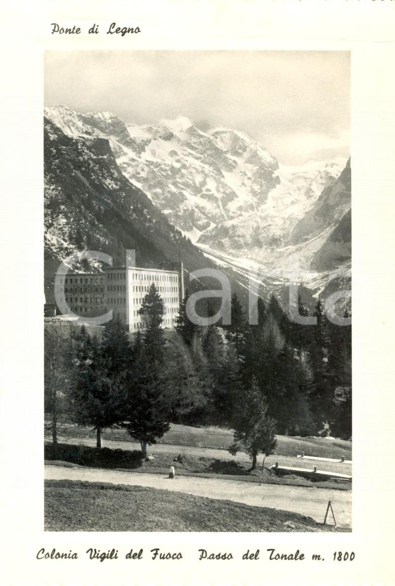 Cartolina originale da collezione 1950 ca VERMIGLIO TN Veduta PONTE DI LEGNO  PASSO TONALE Cartolina postale 1