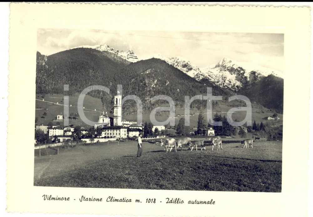 Cartolina originale da collezione 1965 VILMINORE DI SCALVE BG Idillio autunnale Cartolina a Livia PERDOMINI 1