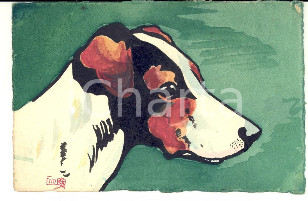 Cartolina originale da collezione 1920 ca F. NORSA Ritratto di un cane Cartolina postale DISEGNATA A MANO 1