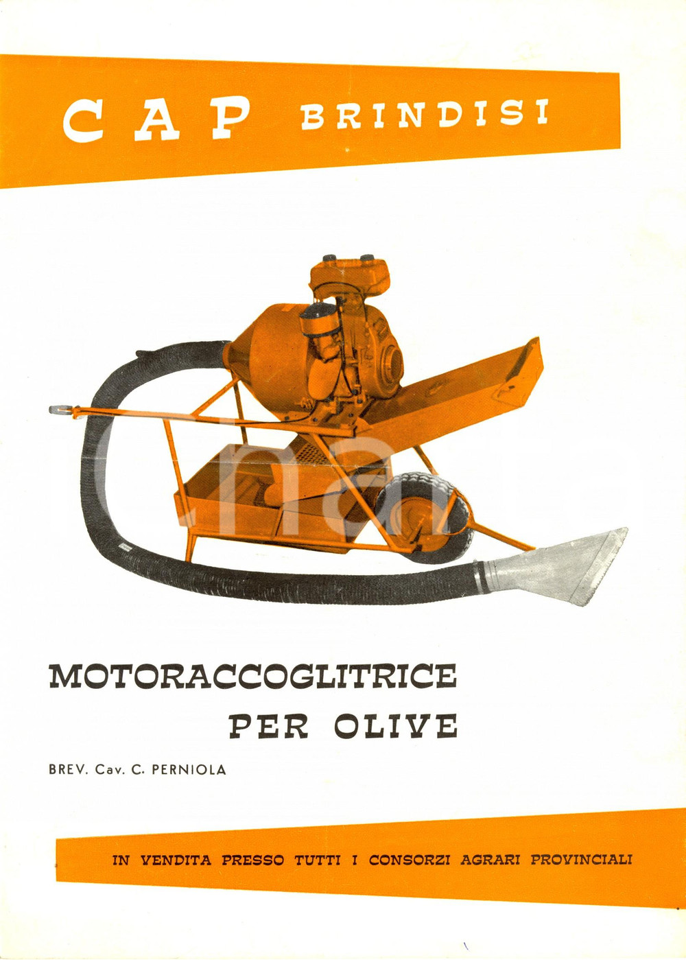Materiale pubblicitario d’epoca 1955 ca BRINDISI CAP Motoraccoglitrice per olive brevetto cavalier PERNIOLA 1