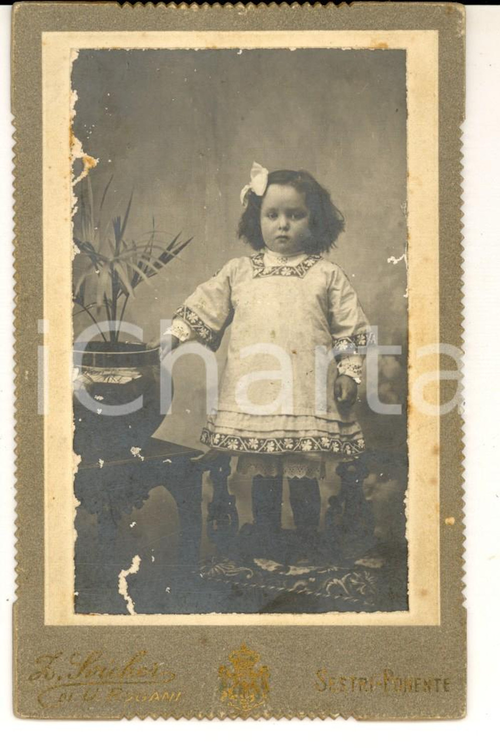 Fotografia d'epoca originale 1900 ca SESTRI PONENTE (GE) Bambina con vaso di fiori *Foto SVICHER 1