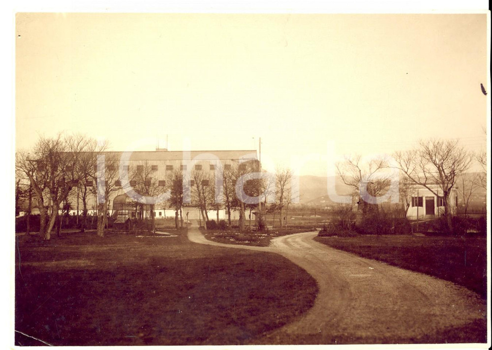 Fotografia d epoca originale 1917 BOSCOMANTICO VR Veduta della campagna Fotografia 12 x17 cm 1