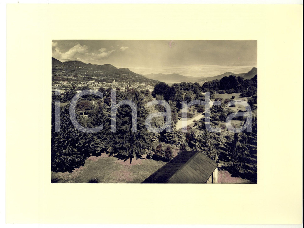 Fotografia d'epoca originale 1940 ca VERBANIA INTRA Villa TARANTO Giardino botanico *Foto AUTENTICA COMETTO 1