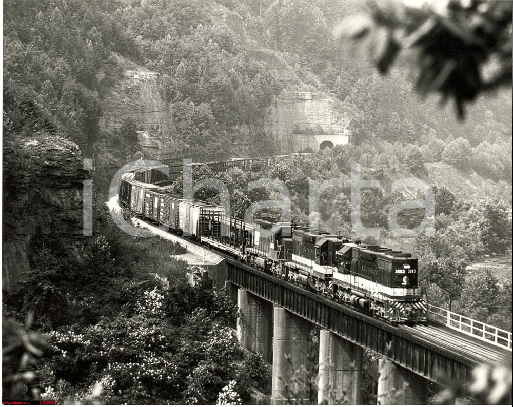 Fotografia d'epoca originale 1960 ca NEMO (TENNESSEE) Runthrough train crossing EMORY River - REAL PHOTO 1