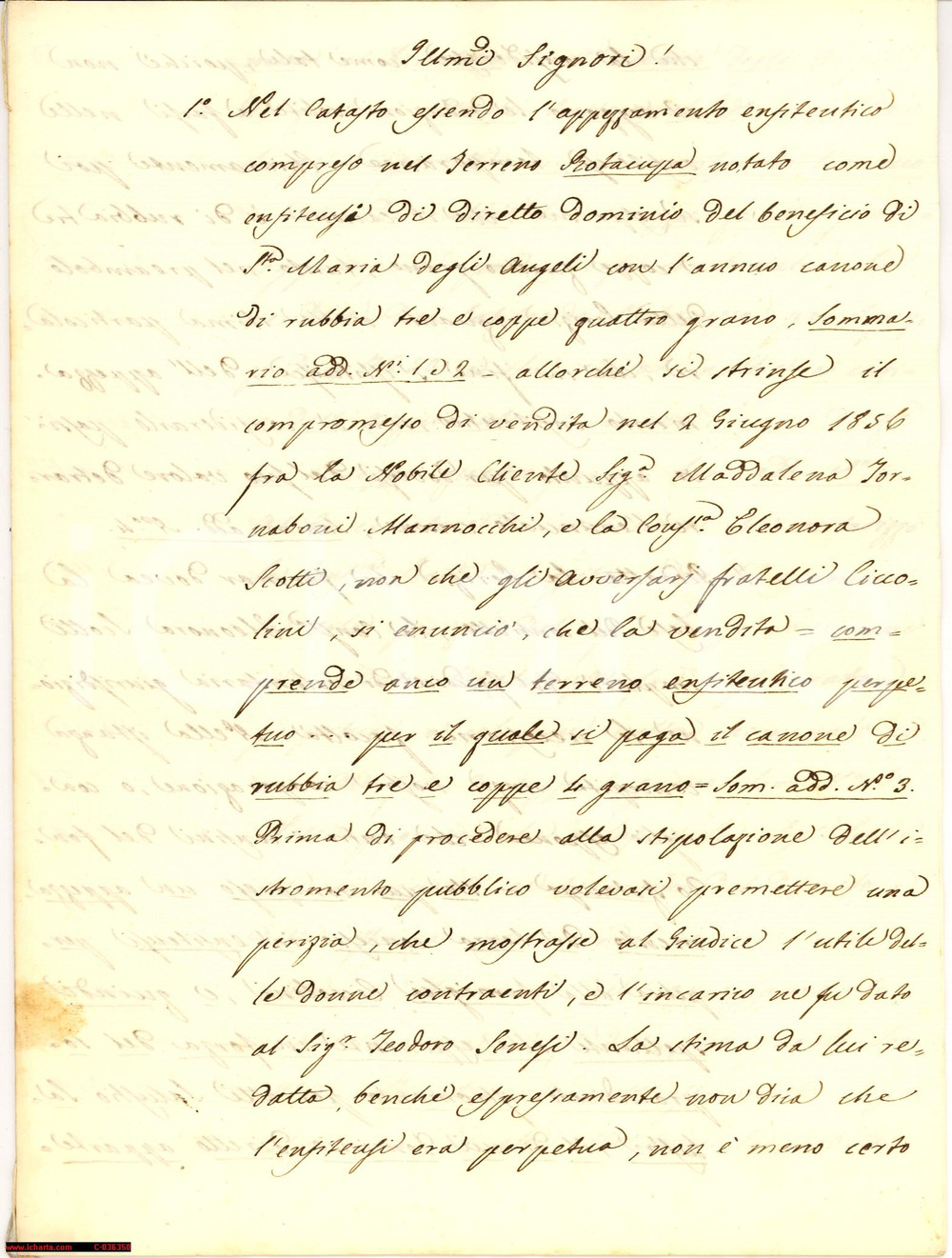 Documento originale, autentico 1859 MACERATA Teofilo Valenti causa Marchesi Ciccolini 1