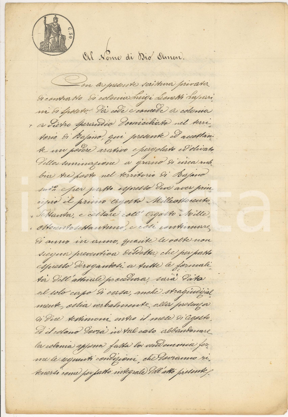 Documento originale, autentico 1870 BAIANO (PG) Contratto di colonato a Pietro SPERANDIO su podere olivato 1