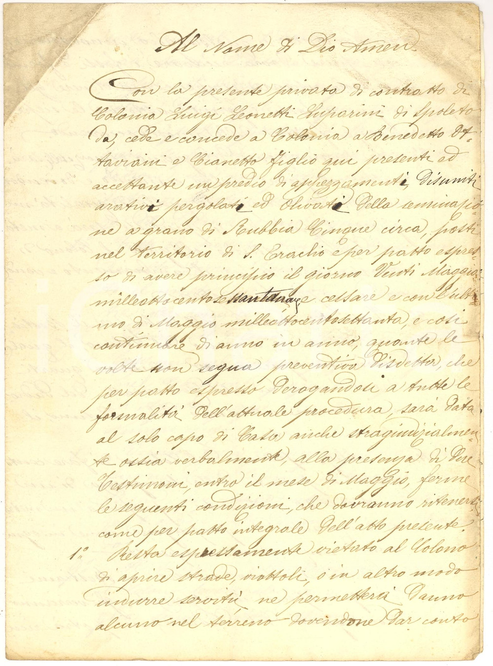Documento originale, autentico 1859 SANT'ERACLIO (PG) Contratto colonato per Benedetto OTTAVIANI *Manoscritto 1