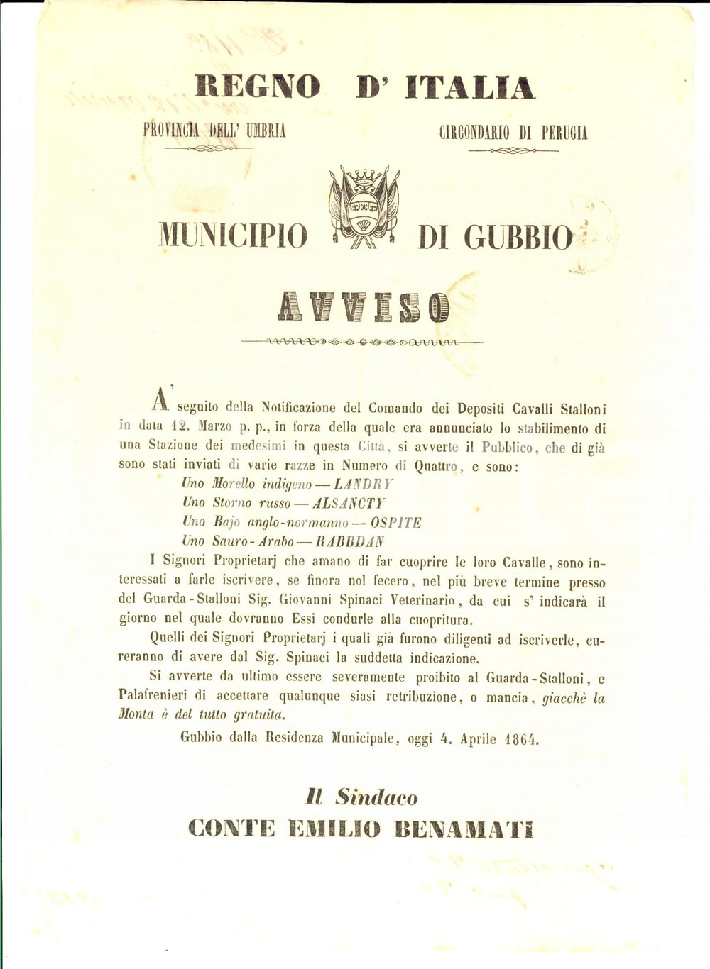 Documento originale, autentico 1864 REGNO D'ITALIA GUBBIO (PG) Stalloni in cittÃ  per cavalle locali *Manifesto 1