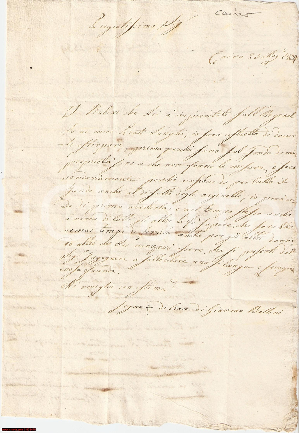 Documento originale, autentico 1839 CAINO Bottini minaccia estirpare robinie per danni 1
