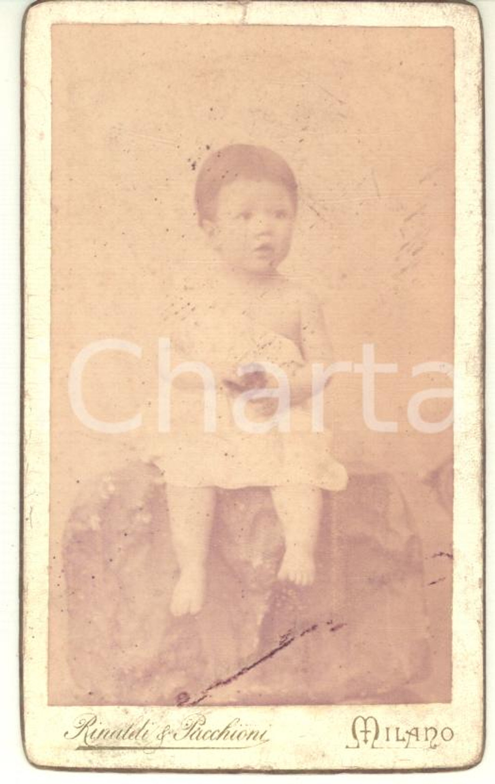 Fotografia d epoca originale 1910 ca MILANO Ritratto di bambino  Fotografia RINALDI & PACCHIONI 1
