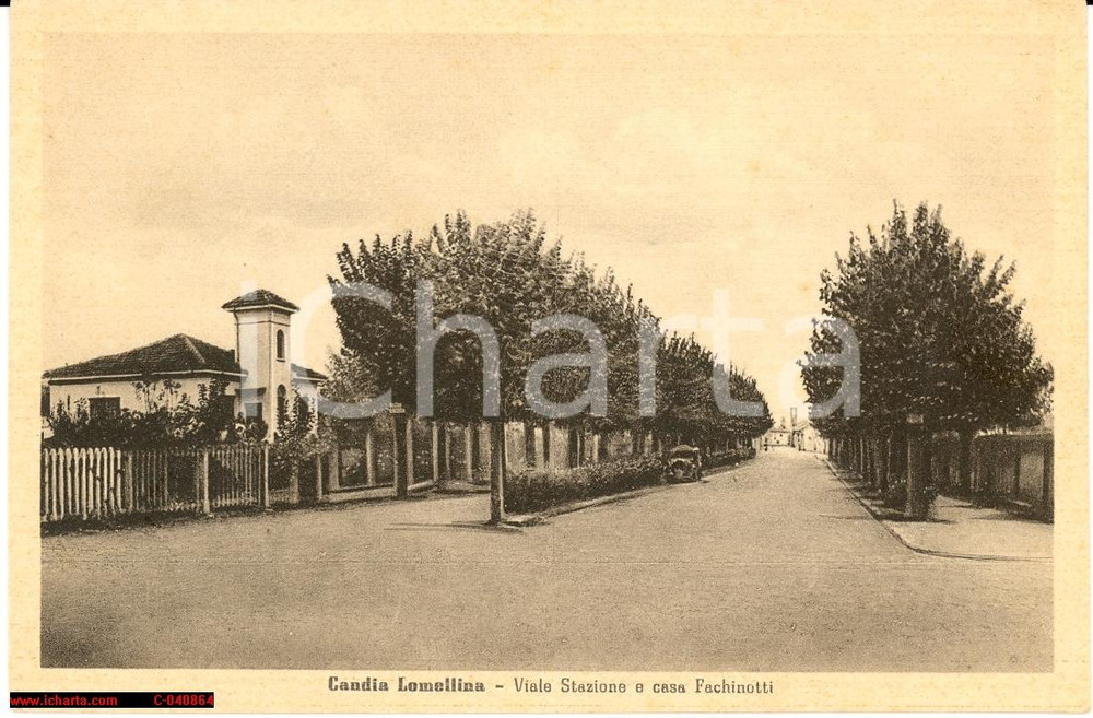 Cartolina originale da collezione 1935 Candia Lomellina *Viale con auto e Fachinotti 1
