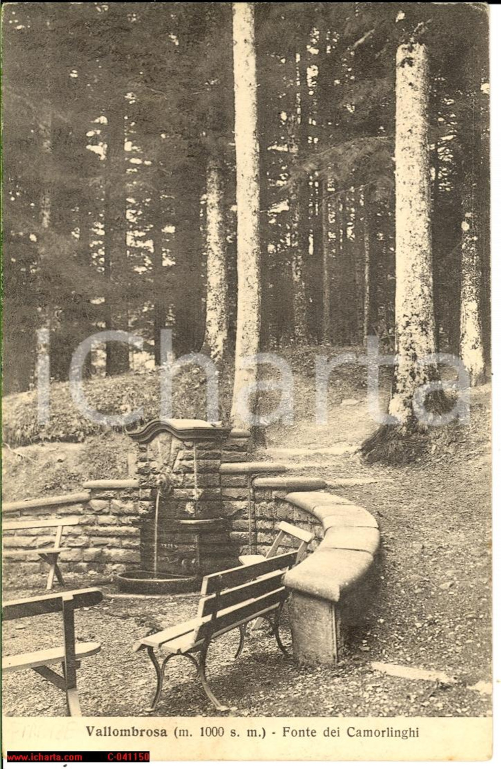 Cartolina originale da collezione 1936 VALLOMBROSA (FI) Fonte dei CAMORLINGHI FP VG 1