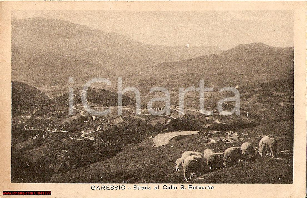 Cartolina originale da collezione 1930 GARESSIO (CN) Strada colle San BERNARDO ANIMATA FP 1