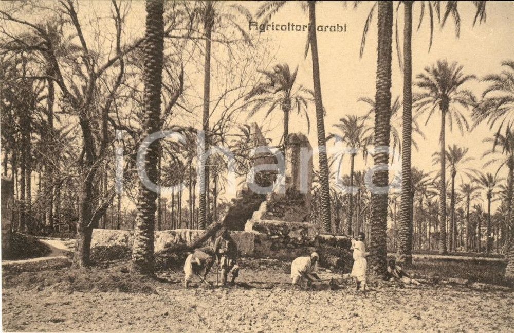 Cartolina originale da collezione 1930 ca COSTUMI ARABI Agricoltori al lavoro tra rovine 1