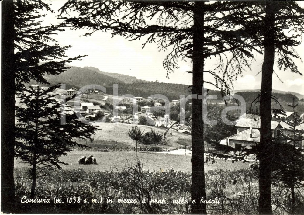 Cartolina originale da collezione 1969 CONSUMA (FI) Scene di vita di montagna FG VG 1