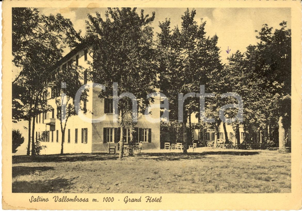 Cartolina originale da collezione 1940 ca VALLOMBROSA SALTINO Il Grand Hotel Cartolina FG VG 1