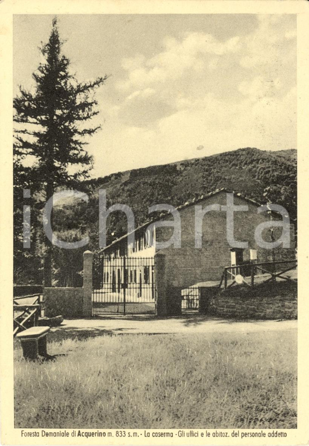 Cartolina originale da collezione 1952 FORESTA ACQUERINO (PT) Caserma e uffici personale 1