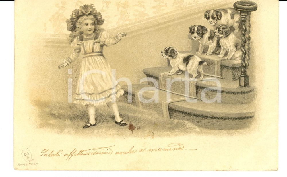 Cartolina originale da collezione 1901 SACILE (PN) Bambina con la cucciolata  Cartolina FP VG 1