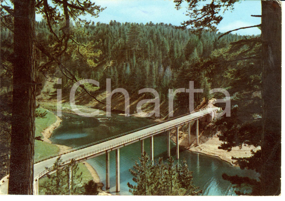 Cartolina originale da collezione 1954 SPEZZANO DELLA SILA (CS) Ponte sul Lago Cecita *Cartolina FG VG 1