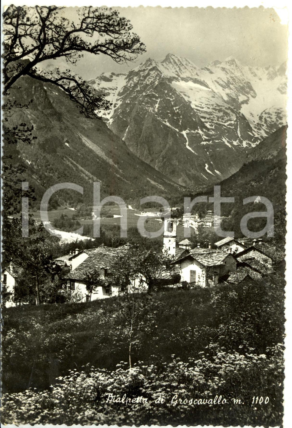 Cartolina originale da collezione 1962 GROSCAVALLO TO Frazione PIALPETTA Panorama VALLE DI LANZO Cartolina 1