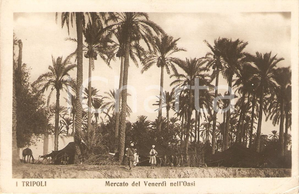 Cartolina originale da collezione 1925 ca TRIPOLI LIBIA Guerra ITALOTURCA Mercato del venerdÃ¬ nell oasi ANIMATA 1