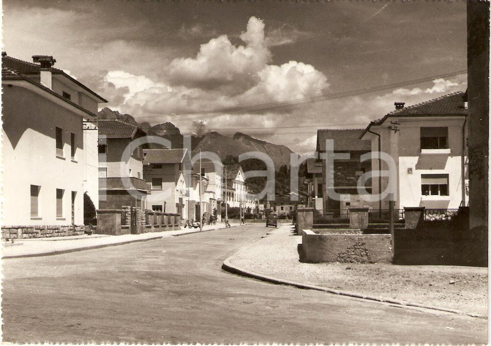 Cartolina originale da collezione 1961 SEDICO (BELLUNO) Via Trieste Panorama ANIMATA *Cartolina FG VG 1