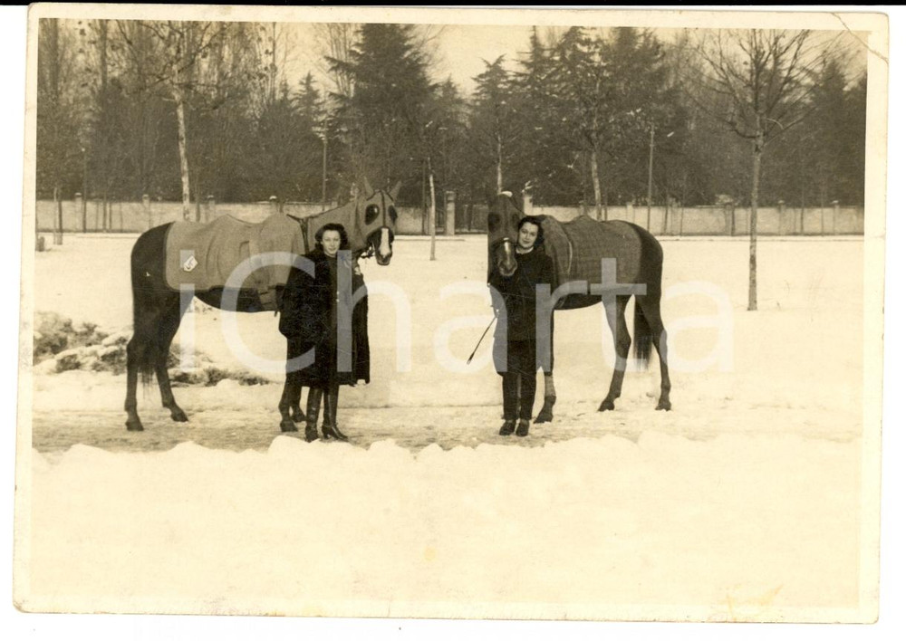 Fotografia d'epoca originale 1940 ca MILANO Ippodromo di SAN SIRO Cavalli con mantello nella neve *Foto 1