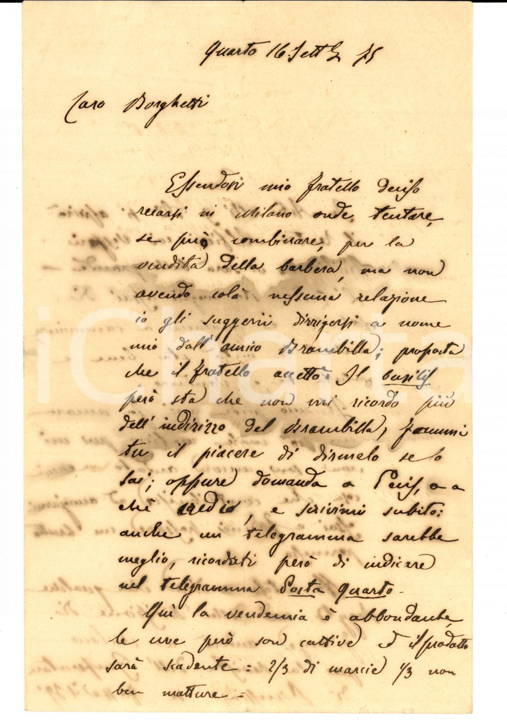 Manoscritto, lettera originale 1875 QUARTO AT Vendemmia BARBERA abbondante, ma le uve sono cattive Lettera 1