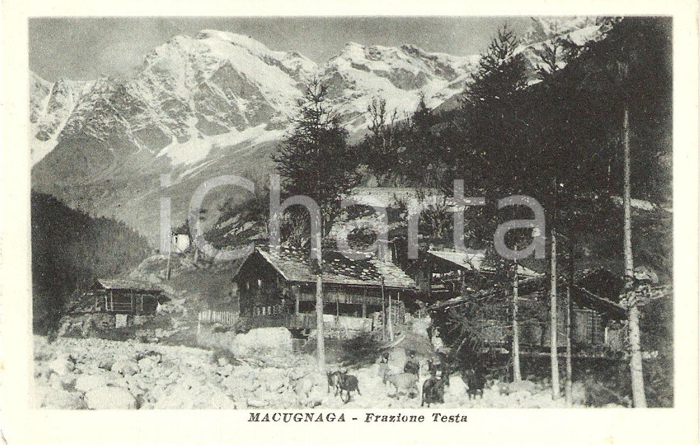 Cartolina originale da collezione 1920 ca MACUGNAGA (VB) Veduta panoramica frazione TESTA Animata *Cartolina FP NV 1
