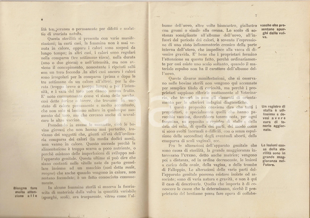 Oggetto da collezione cartaceo 1930 Ministero Interno LIBRETTO STERILITA' BOVINA 1