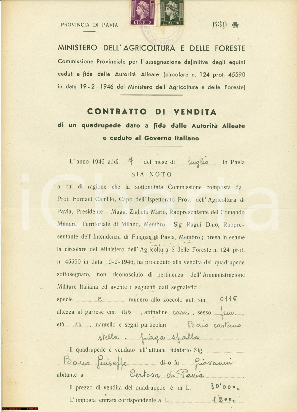 Documento originale, autentico 1946 CERTOSA DI PAVIA Cavallo baio a GIUSEPPE BONO 1