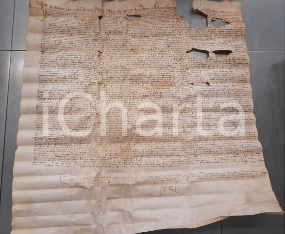 Documento originale, autentico 1570ca La BAUME AURIOL ? Atto di vendita pro Giovanni di BOTANIA ? Pergamena 1