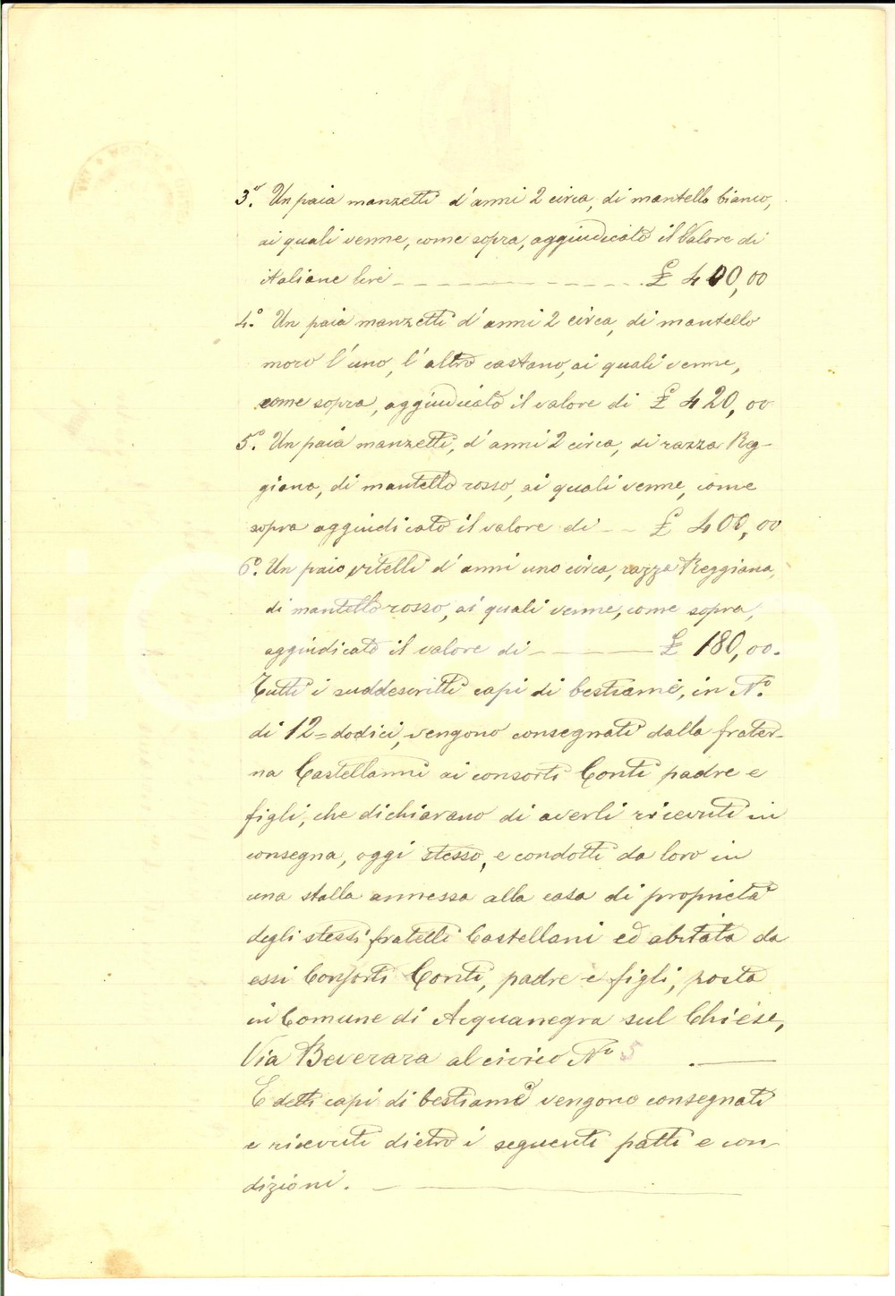 Documento originale, autentico 1901 ACQUANEGRA SUL CHIESE Contratto di soccida per buoi dei fratelli CASTELLANI 1