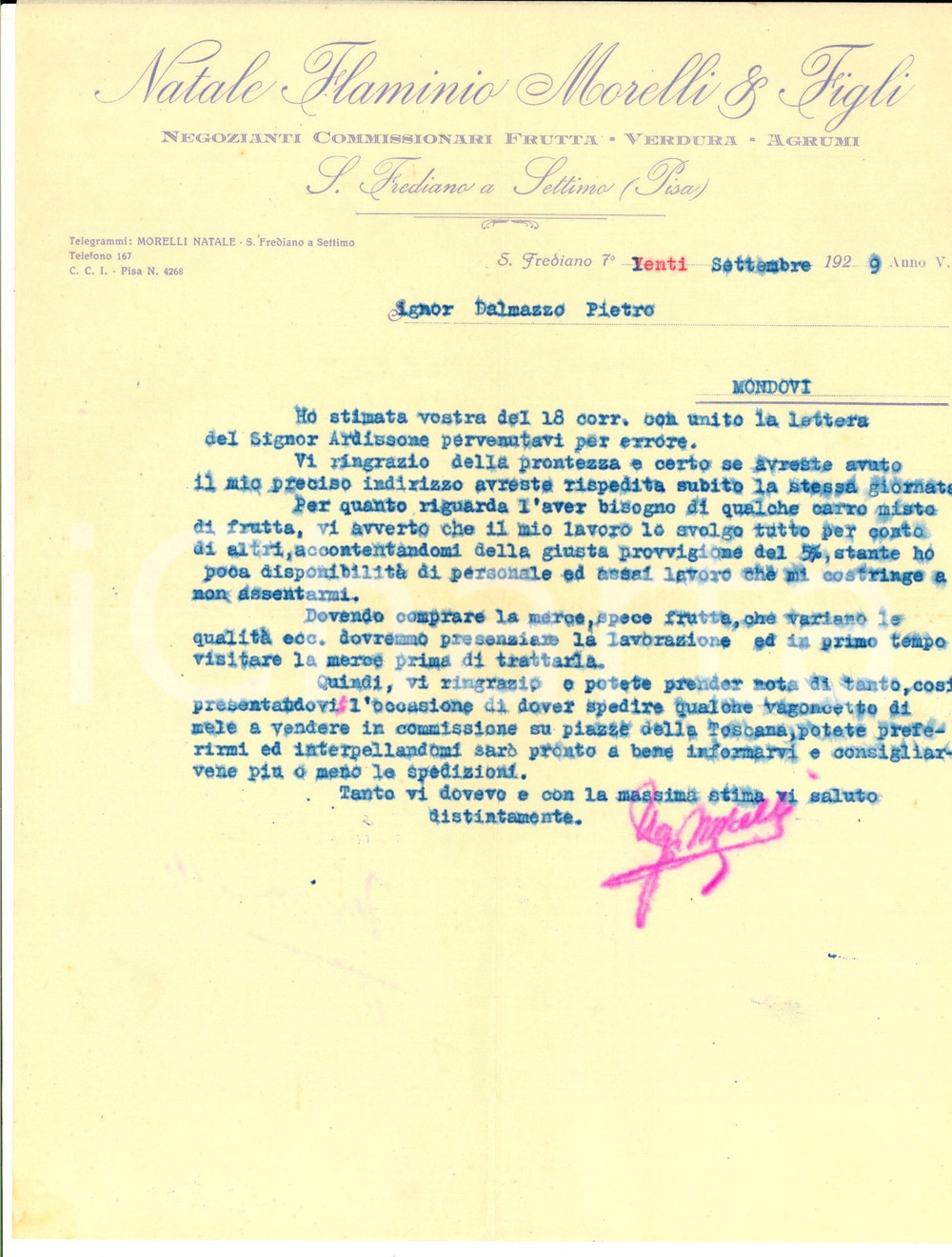 Documento originale, autentico 1929 SAN FREDIANO A SETTIMO Natale Flaminio MORELLI Frutta e verdura Lettera 1