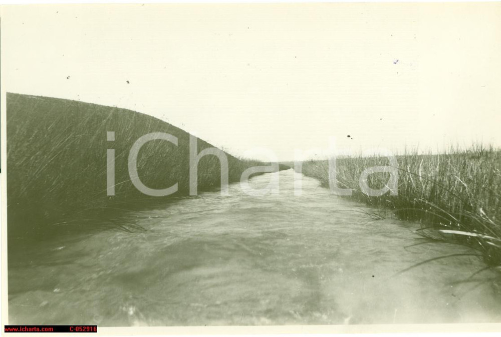Fotografia d epoca originale 1930 ca MONTONA CROAZIA Fiume MIRNA o QUIETO prima di bonifica Foto 1