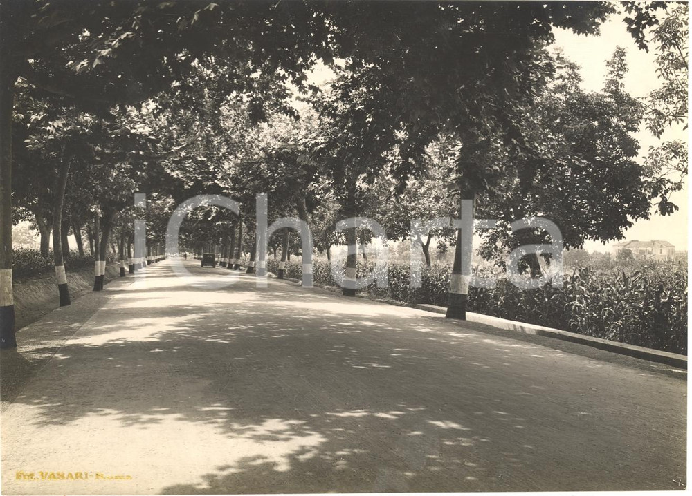Fotografia d epoca originale 1935 circa PONTECAGNANO SA Strada TIRRENIA INFERIORE Fotografia 1