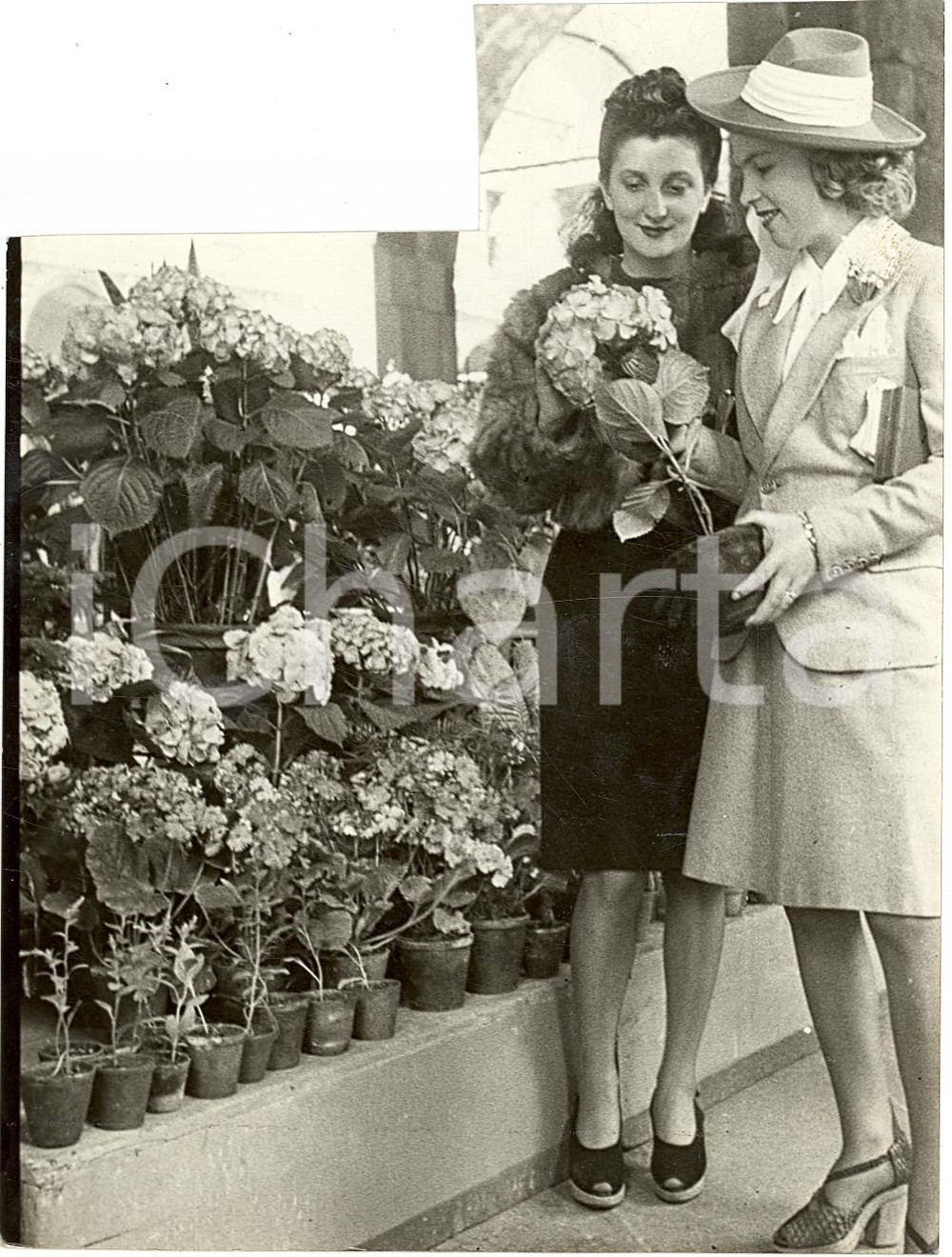 Fotografia d'epoca originale 1940 MILANO Mostra fiori a Loggia dei Mercanti ANIMATA 1