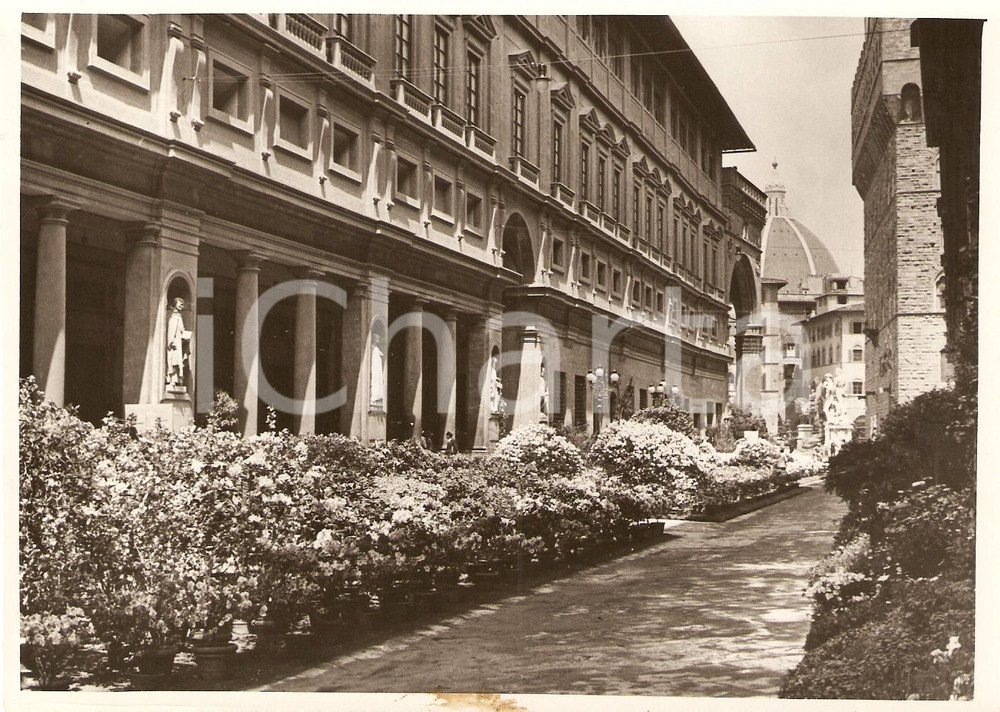 Fotografia d'epoca originale 1938 FIRENZE La fiera toscana di piante e fiori PHOTO 1